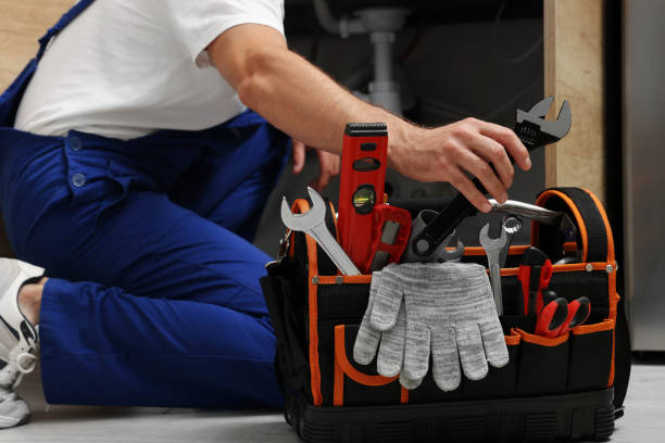 Best Leak Detection Services  in Carleton, MI