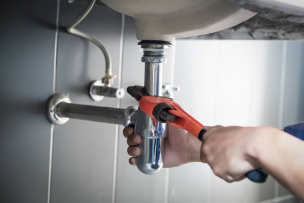 Best Same-Day Plumbing Service  in Carleton, MI